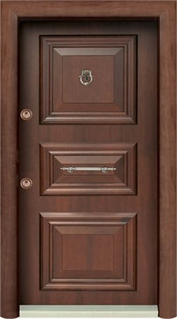 Anti - theft door 2601
