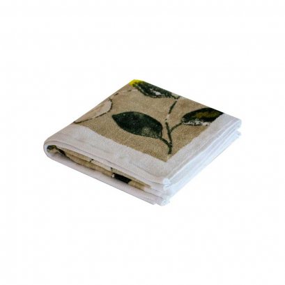 فلوریش خاکی