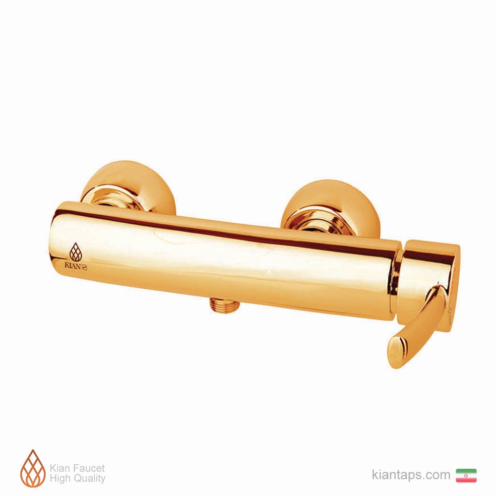 Golden Surena Toilet Valve