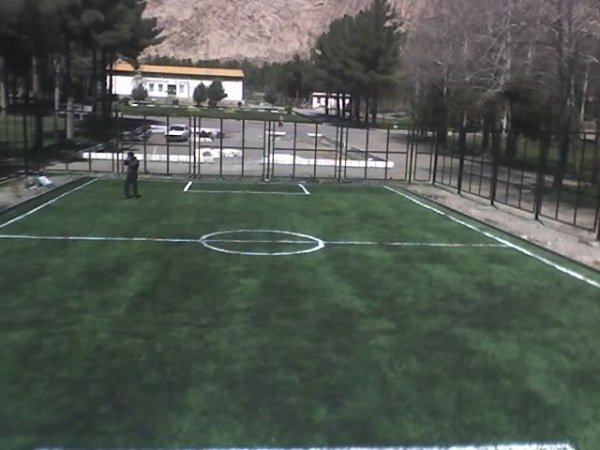 Artificial Grass