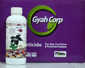 كود روي روزت