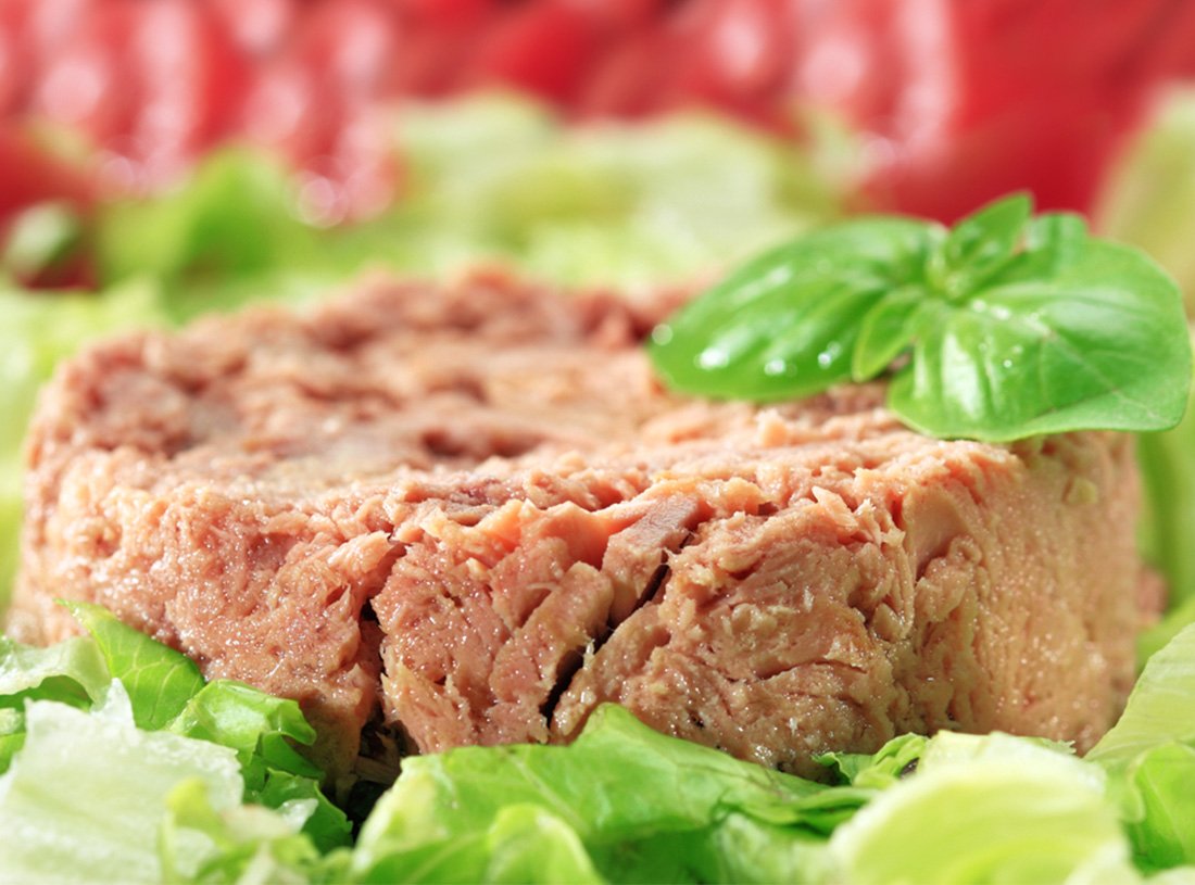 canned tuna fish