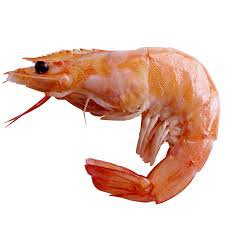 special shrimp fermentation concentrate (ProbioMix-S)