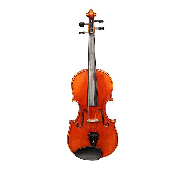 VIOLIN V1000