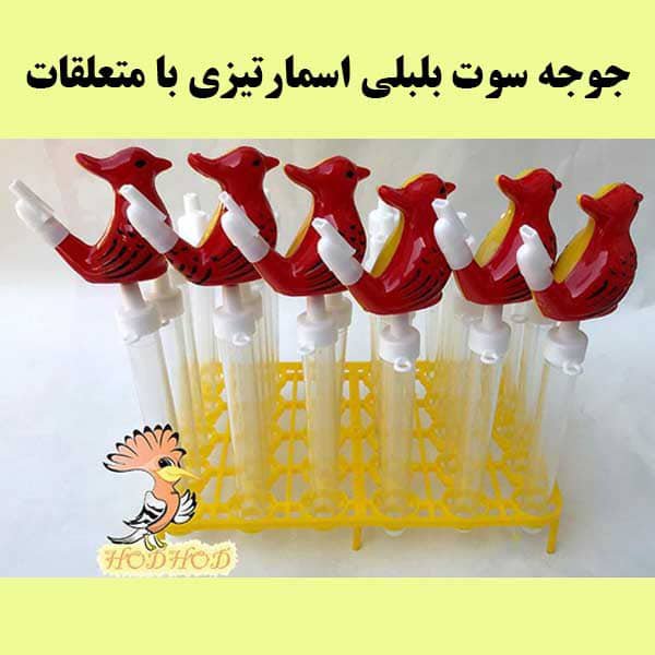 جوجه سوت بلبلی با متعلقات