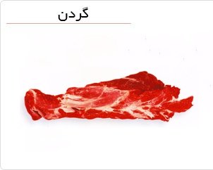 گردن