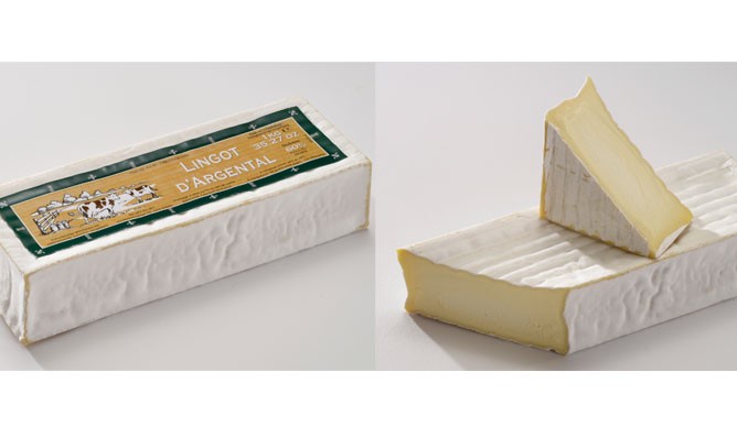 پنیر شمش آرژانتالی