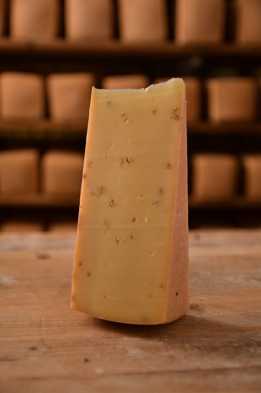 شنبلیله پنیر جزیره ای