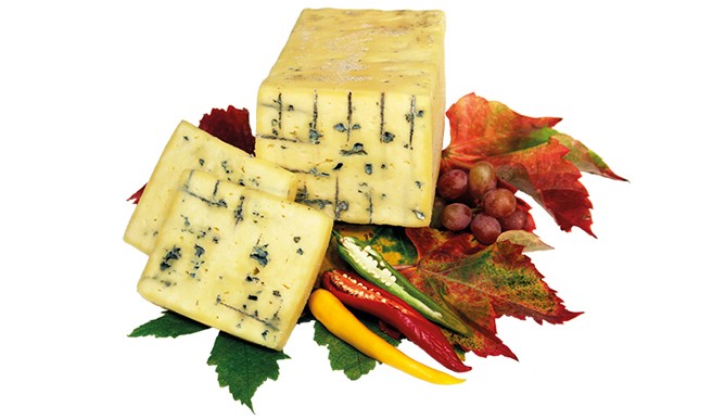 پنیر پلنگاران ارگانیک. آلی آبی