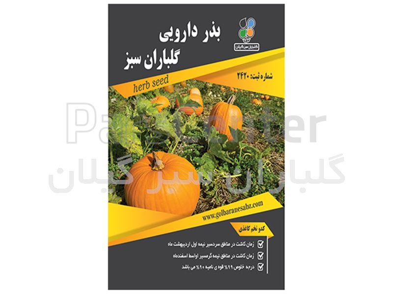 Seed medicinal pumpkin seeds