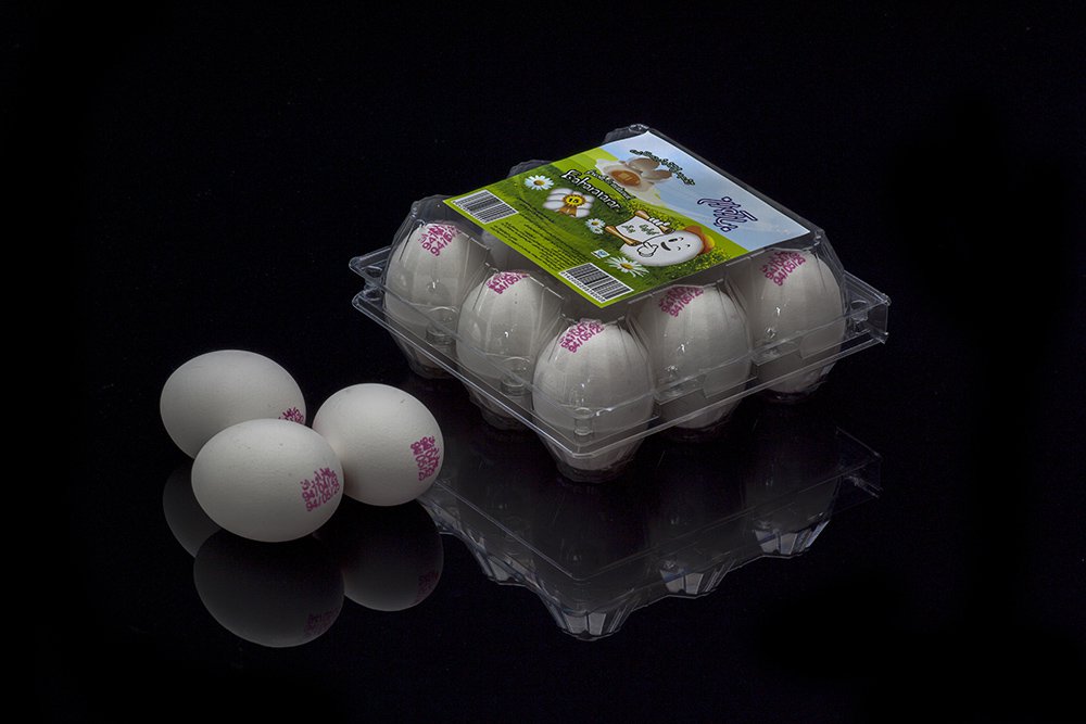 Plastic box of 9 pieces