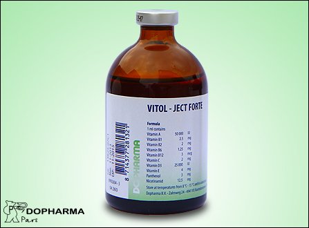 ویتول - جکت فورت ( ویال تزریقی )