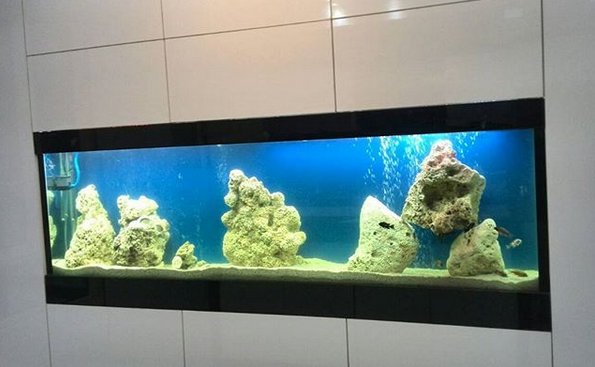 اکواریوم کارشده در تهرانپارس