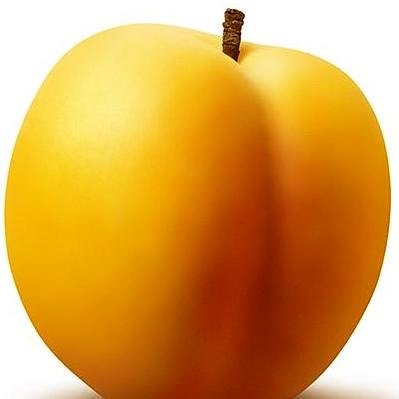 اسانس خوراکی زردآلو