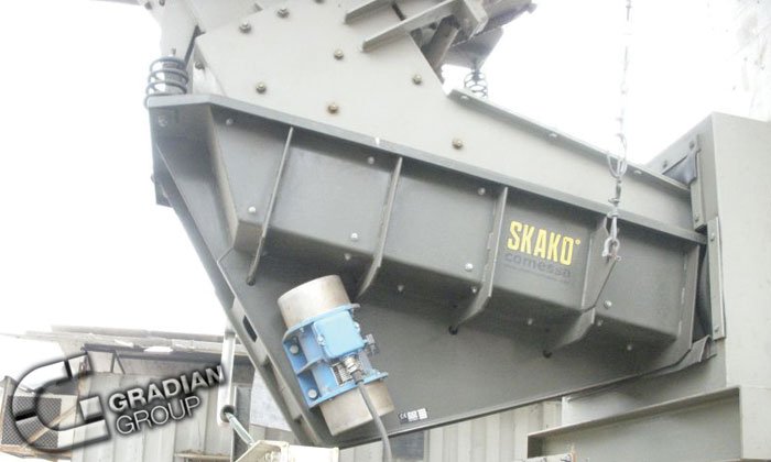 Motor and magnetic vibrator feeder