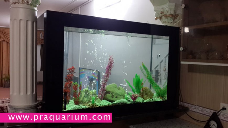 آکواریوم مخزنی منزل 7