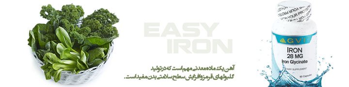 Easy Iron 28mg