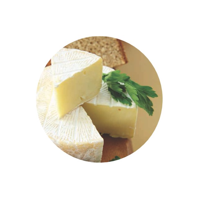 پنیر کممبر با شیر بز