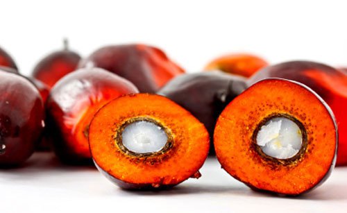 C12-C14 الکل چرب