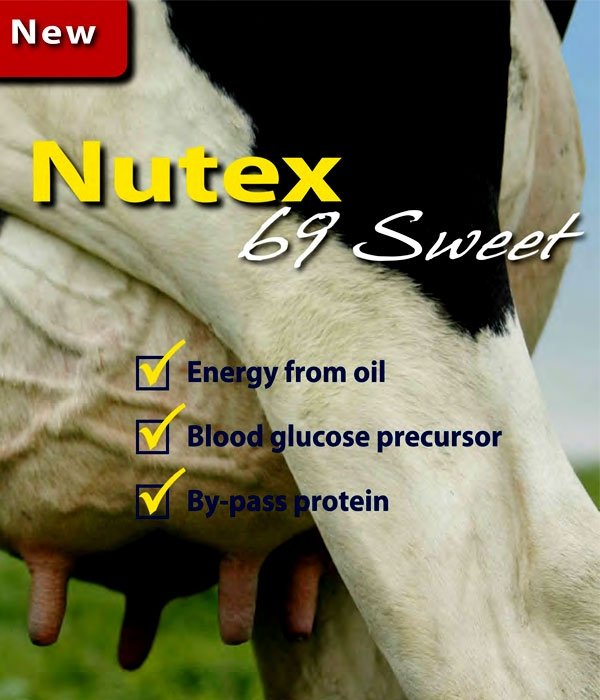 NUTEX 69 SWEET