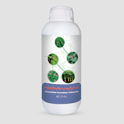 بتانال پروگرس OF