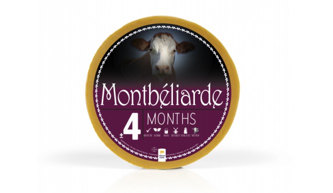 Montbeliarde 4 months