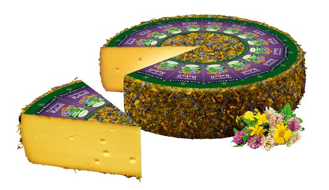 پنیر شورشی گل یونجه