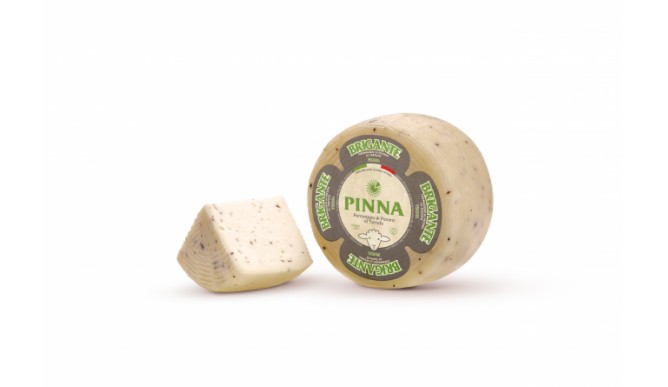 BRIGANTE WITH TRUFFLE ca. 1.5KG