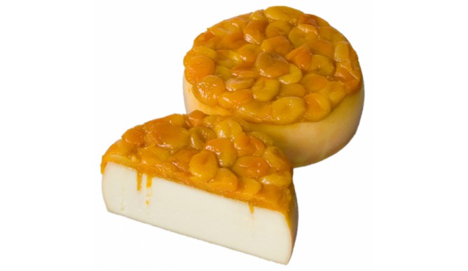 apricot cheese
