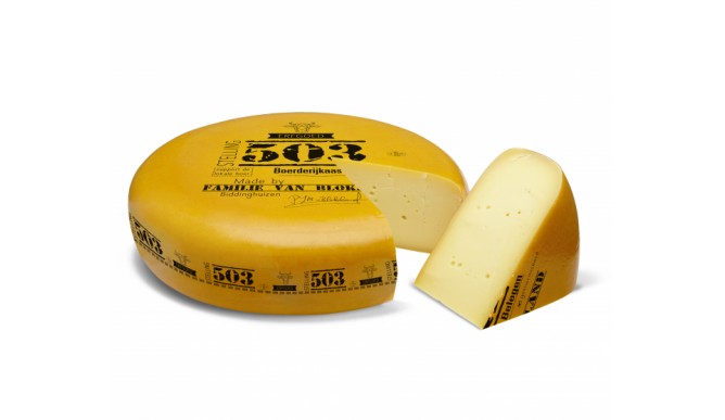 پنیر استلینگ موفقیت 503