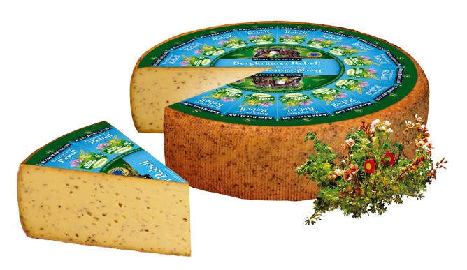 پنیر شورش گیاه کوهی