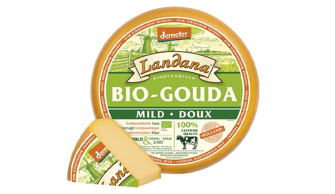 Vandersterre, Landana Demeter Gouda