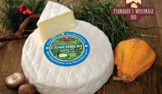 Planggers Organic Camembert