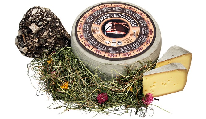 Plangger's organic Urfels cheese