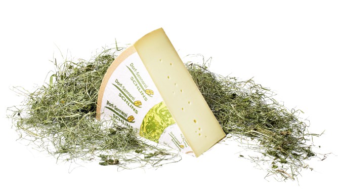 village dairy Schlins Vorarlberg mountain cheese