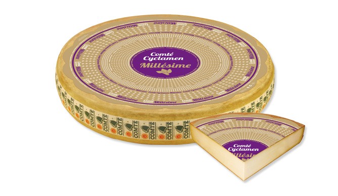  County AOP Vintage Marcel Petite