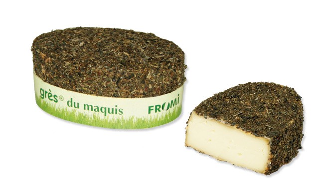 Small Sandstone of the Maquis