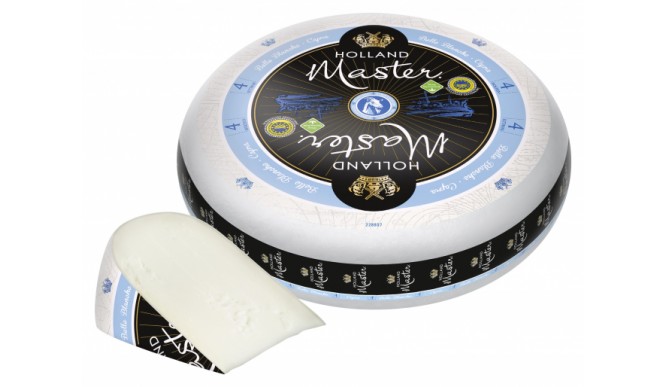 Holland Master Belle Blanche