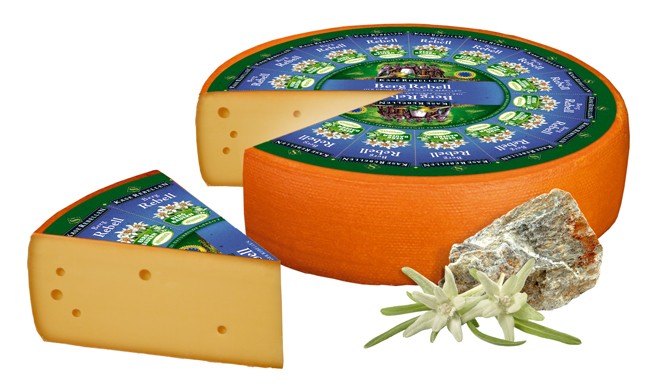پنیر برگ شورش