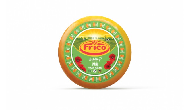 Frico favorite of the season May Gouda Holland  g.g.A.