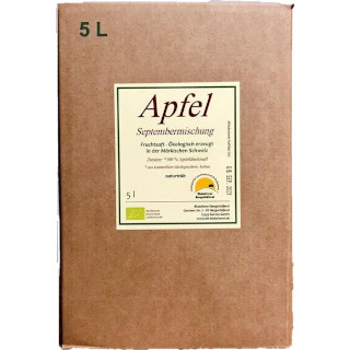 Apple juice in box, 5 l bag,