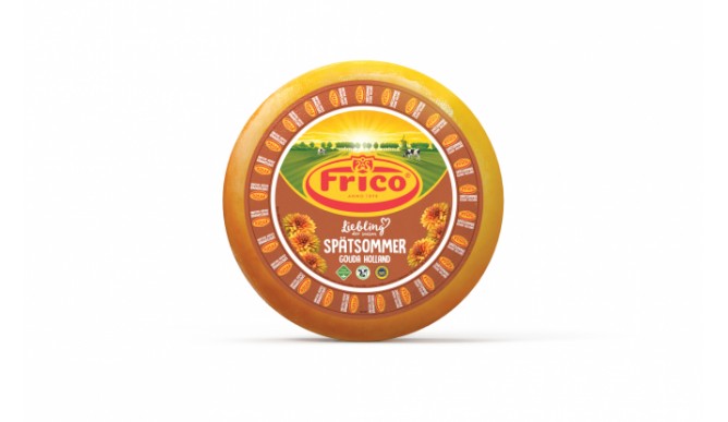پنیر فریکو مورد علاقه فصل اواخر تابستان گودا هلند