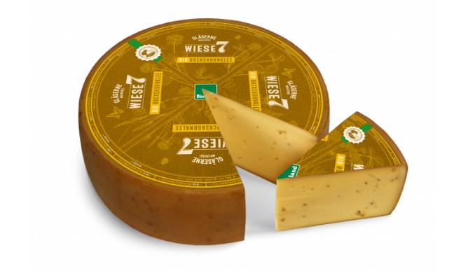 پنیر شنبلیله ارگانیک