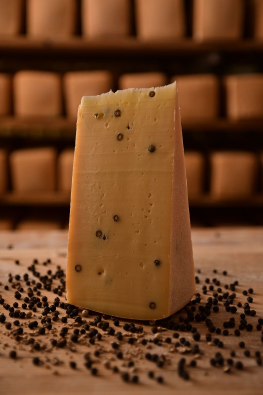 فلفل پنیر جزیره