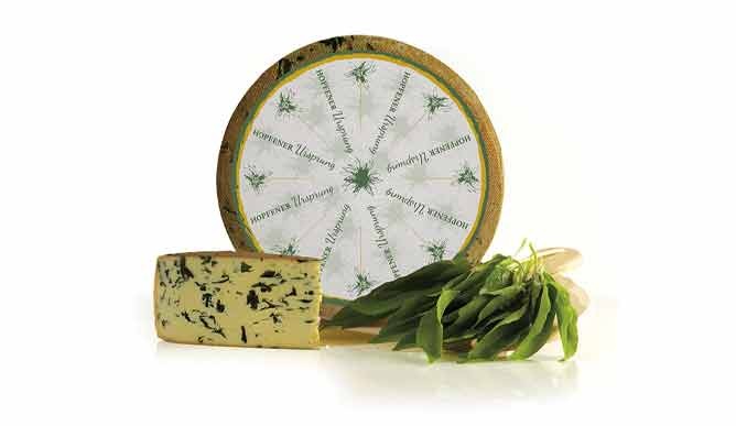 hamburger cheese warehouse, Hopfener Ursprung