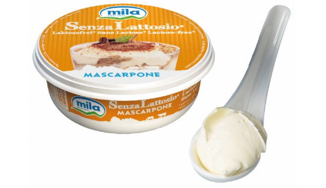 Mascarpone lactose free