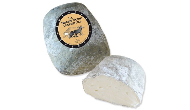 Argental Black Sheep